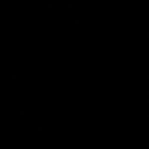 Meet your Posher, Daniela